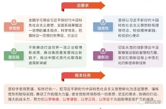 全面解析政治学教育：定义、核心议题、重要性及实践应用