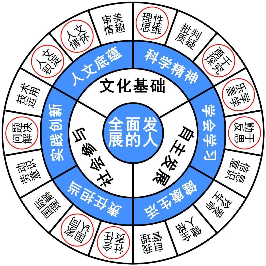 人文教育深度解析：角色、职责与影响