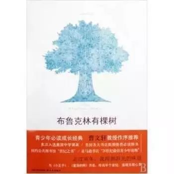 《傲慢与偏见》的教育意义：认识自我、尊重他人与价值观的培养之路