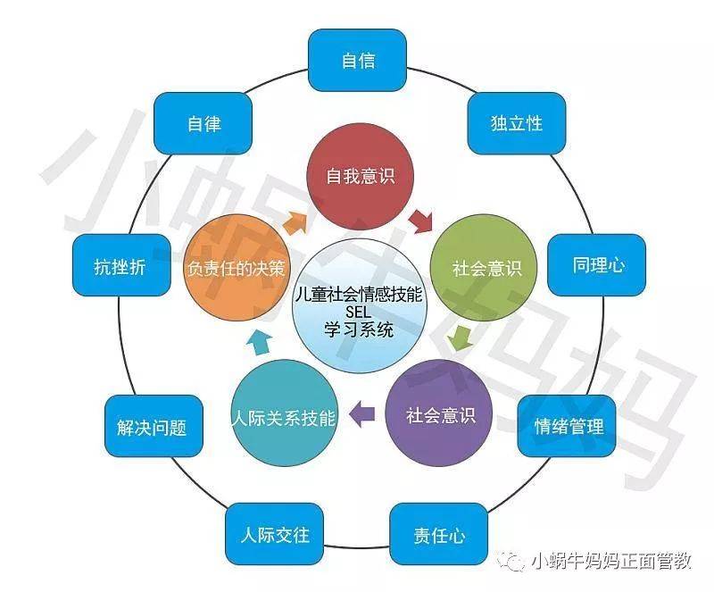 情感引导教育的重要性：培养情感智商，促进人际和谐，应对现实需求