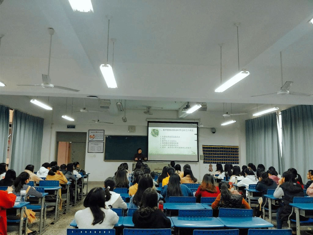 中学教育学：深入理解与探索的专业领域