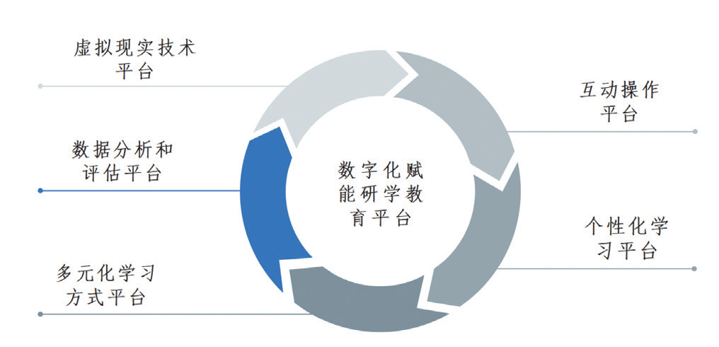 教育环：灵活互动，个性化教学实践与探索