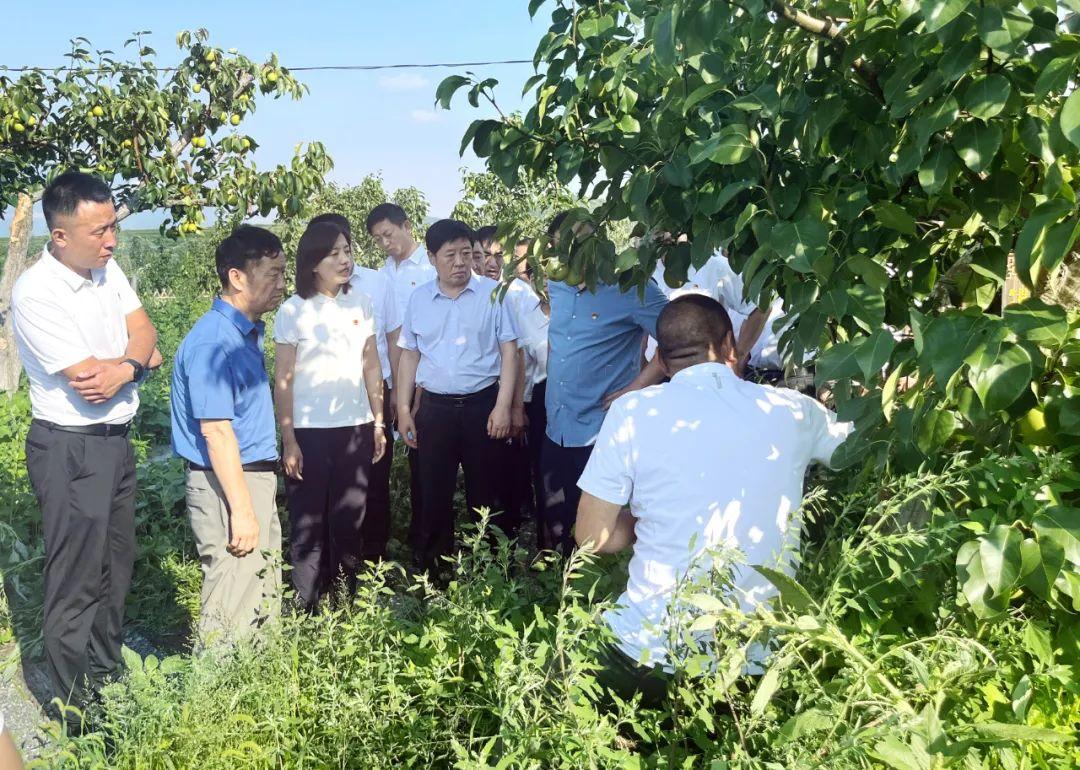 太原与晋城教育水平对比解析