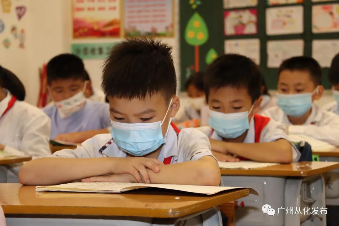 华阳教育太原，塑造未来之光的教育引领者