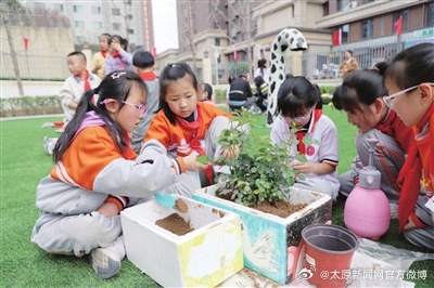 太原绿色教育的崛起，实践与发展之路