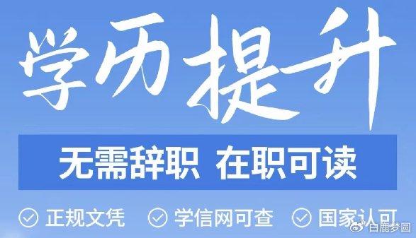 壹点教育太原，引领教育新风尚之典范